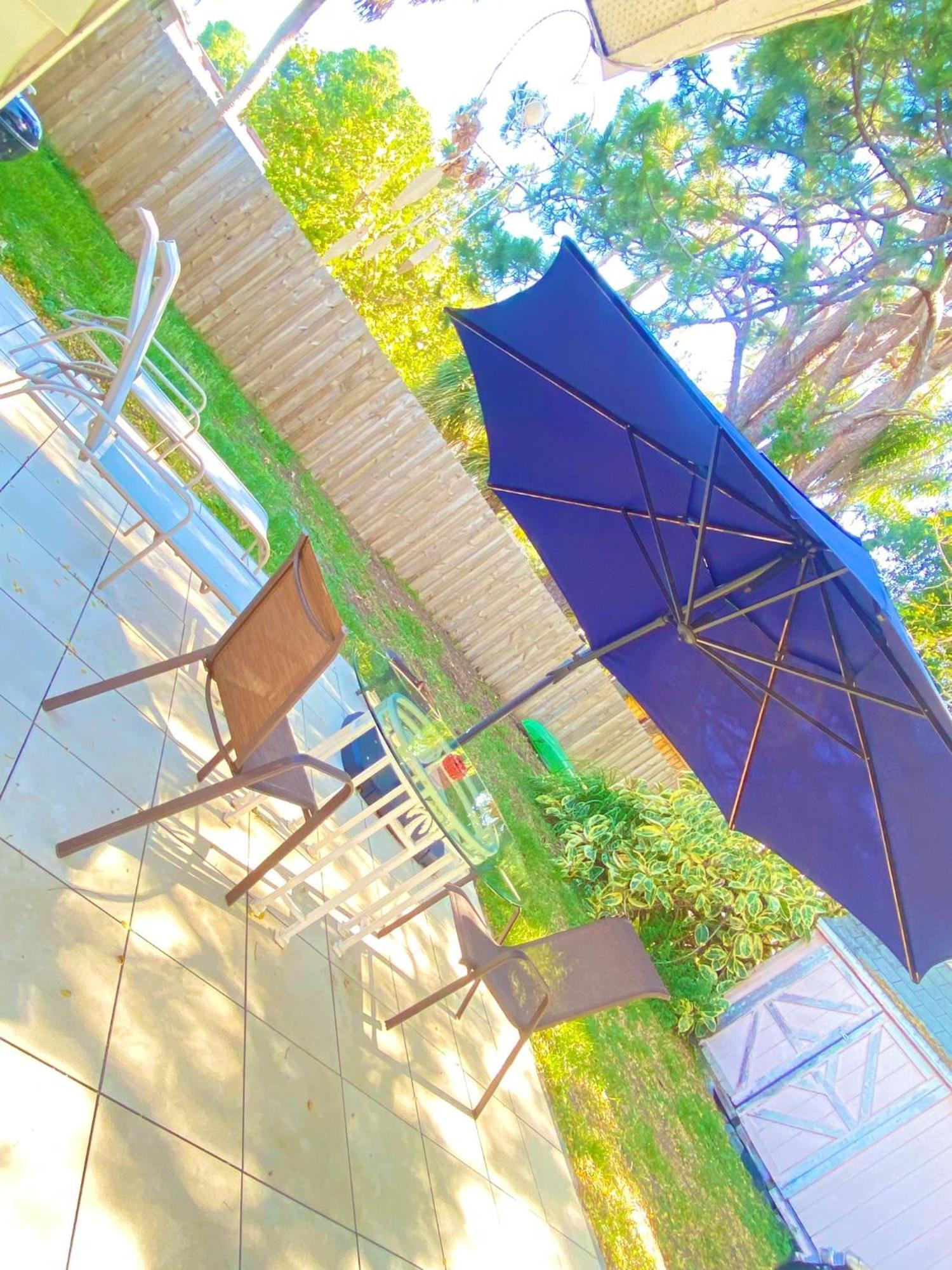 Cozy Studio Only 10 Minutes By Car Of Siesta Key Sarasota Eksteriør billede